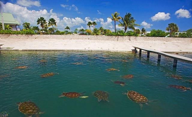 开曼群岛是属于哪个国家统领的属地?