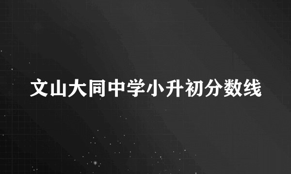 文山大同中学小升初分数线