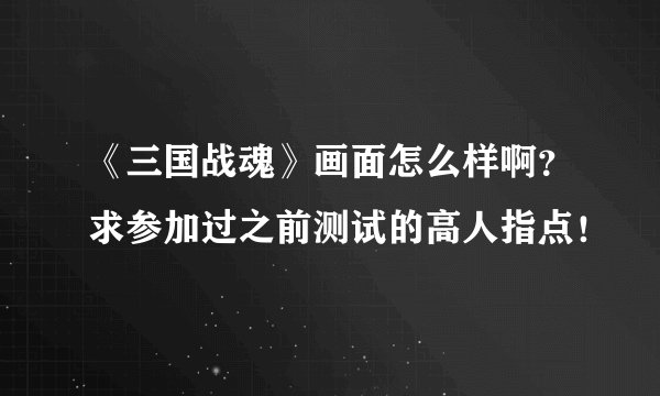 《三国战魂》画面怎么样啊？求参加过之前测试的高人指点！