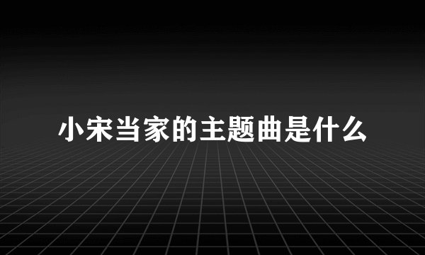 小宋当家的主题曲是什么