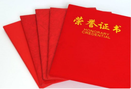 何时何处何原因受过何种奖励怎么填