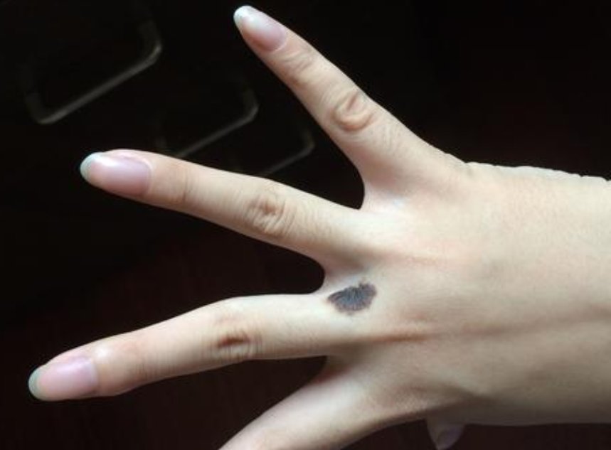 五个手指头各有什么作用？