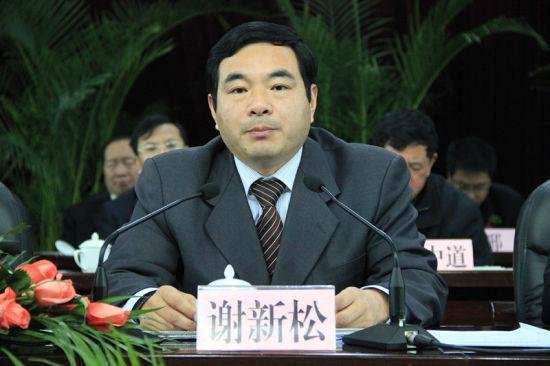 谢新松的人物履历