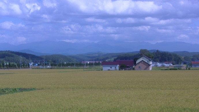 亲爱的周游是个什么梗