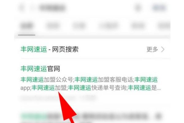 丰网速运怎么查物流