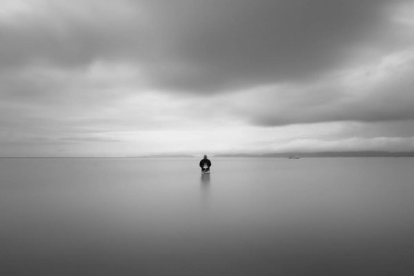 凡心所向，素履以往是什么意思？