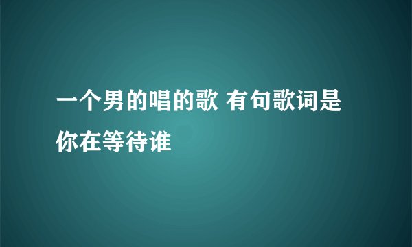 一个男的唱的歌 有句歌词是你在等待谁