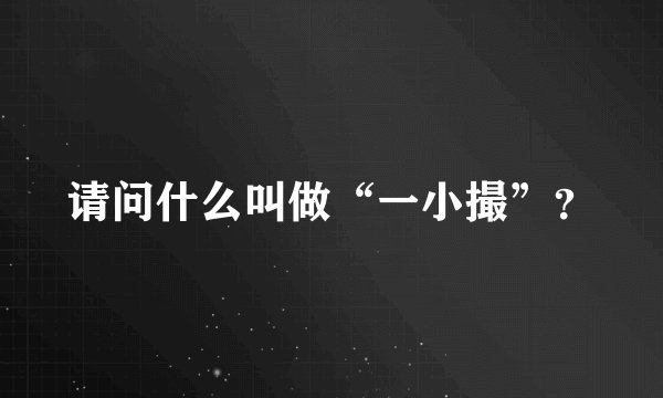 请问什么叫做“一小撮”？