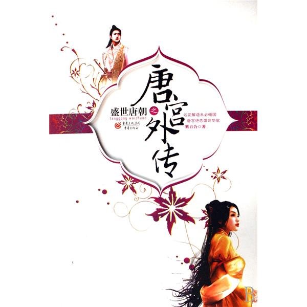 唐宫外传的简介