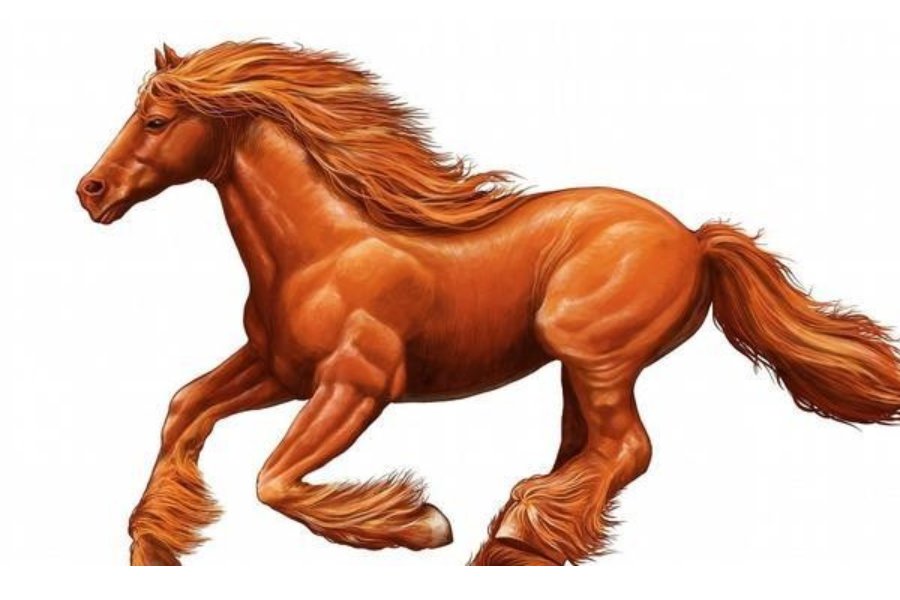 四月六眉挂弯月打一生肖