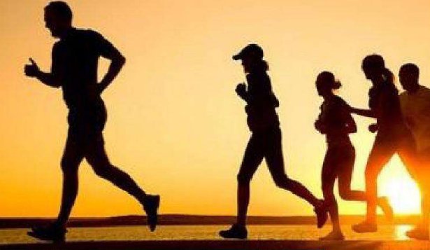 运动与健康的关系是什么?