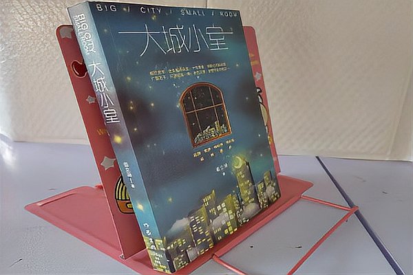 大城小室小说结局