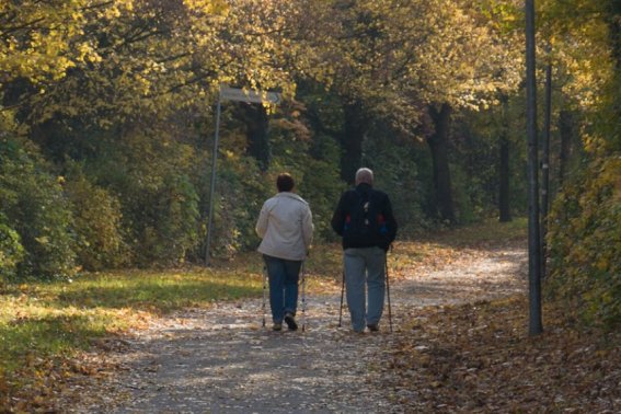 相离莫相忘,且行且珍惜意思是什么