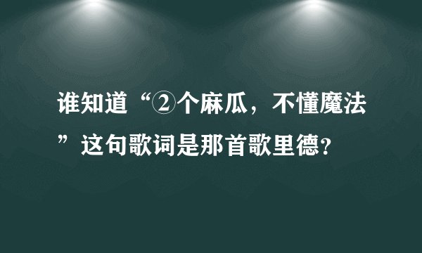 谁知道“②个麻瓜，不懂魔法”这句歌词是那首歌里德？