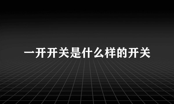 一开开关是什么样的开关