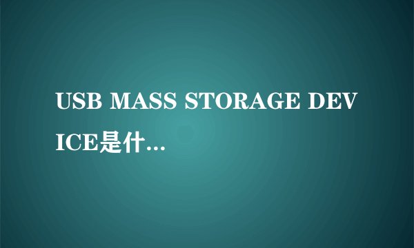 USB MASS STORAGE DEVICE是什么意思呢