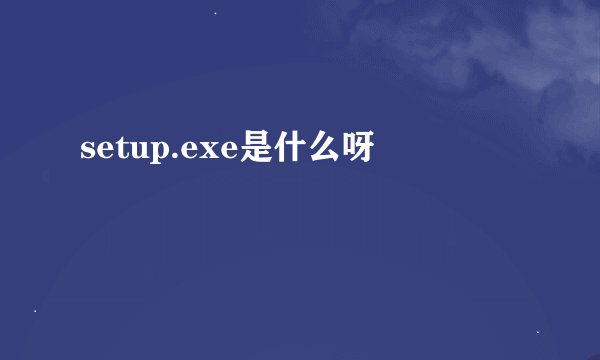 setup.exe是什么呀