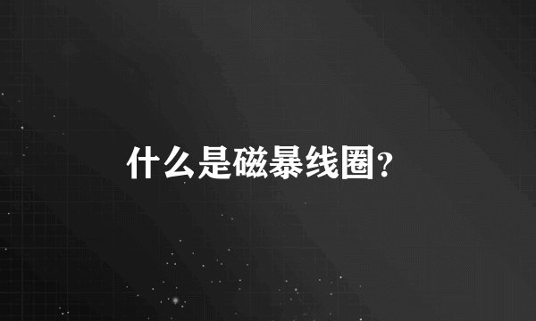 什么是磁暴线圈？