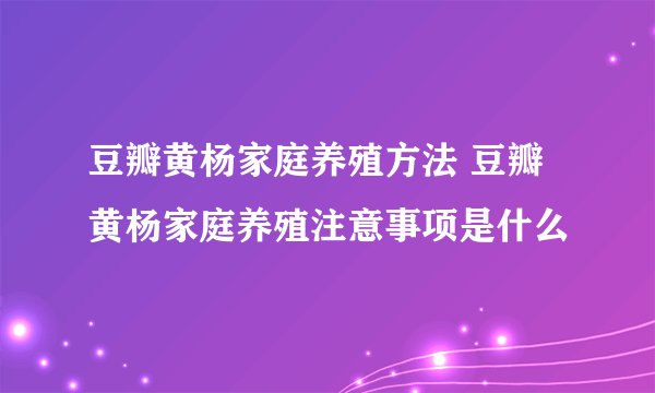 豆瓣黄杨家庭养殖方法 豆瓣黄杨家庭养殖注意事项是什么