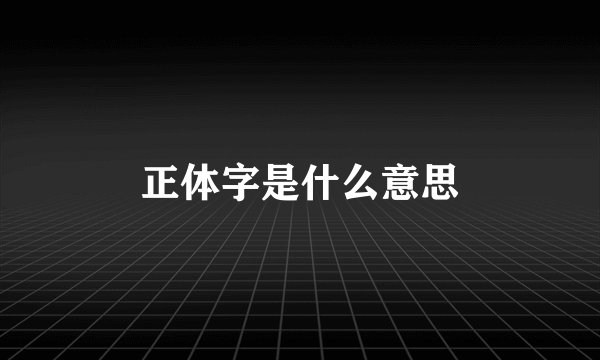 正体字是什么意思
