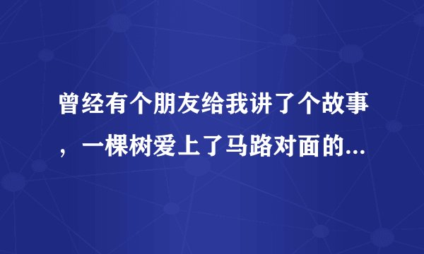 曾经有个朋友给我讲了个故事，一棵树爱上了马路对面的另一颗树，我问她然后呢，她说然后就没有然后了，很