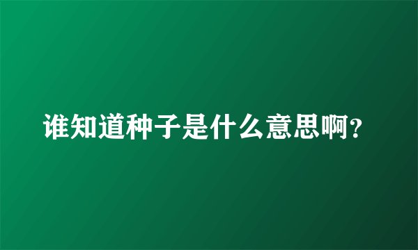 谁知道种子是什么意思啊？