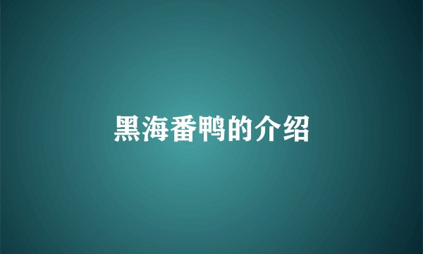 黑海番鸭的介绍