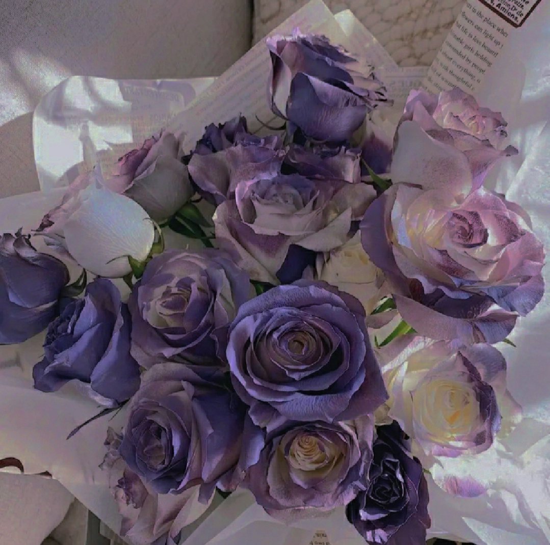 女孩子可以随便接受玫瑰花吗？