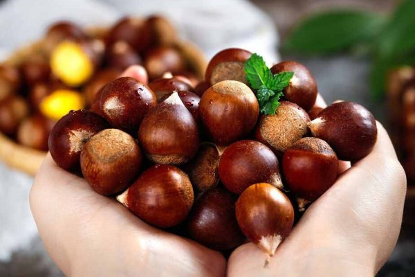 中国十大板栗之乡排名