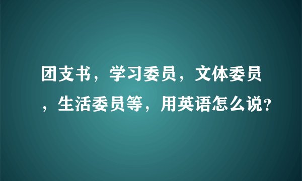 团支书，学习委员，文体委员，生活委员等，用英语怎么说？