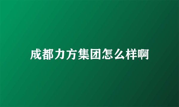 成都力方集团怎么样啊