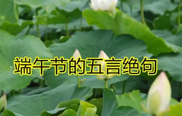 端午节的五言绝句