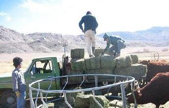 幽泉学院的介绍