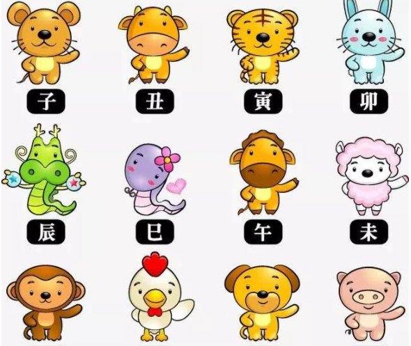 兔年之后是什么年？