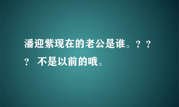 潘迎紫现在的老公是谁。？？？ 不是以前的哦。