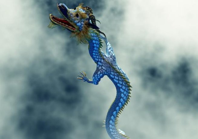 如火如荼指的是什么生肖