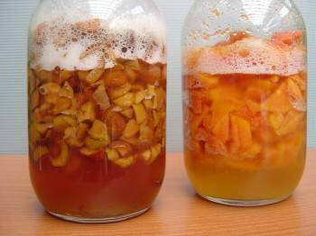 酵素和孝素的区别是什么