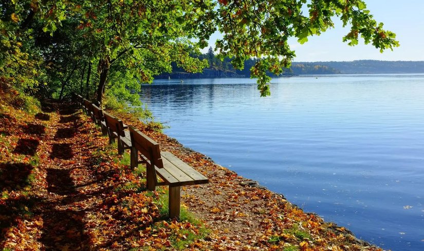 秋的声音还有哪些