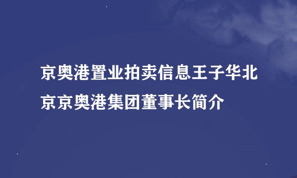 京奥港置业拍卖信息王子华北京京奥港集团董事长简介