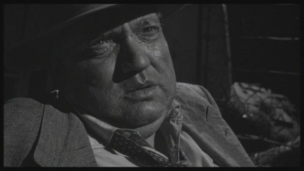 狂野生死恋的介绍