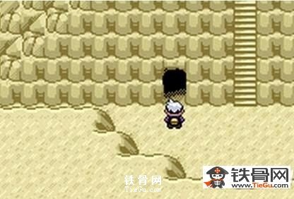 迪亚鲁加怎么抓_迪亚鲁加抓取攻略