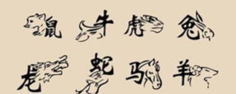 九九重阳是何生肖