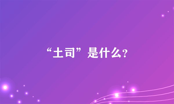 “土司”是什么？