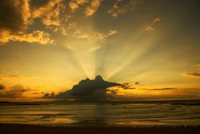 霞光万道的生肖