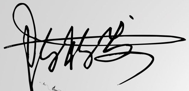 请问至尊艺术签名设计大师能帮我设计个签名