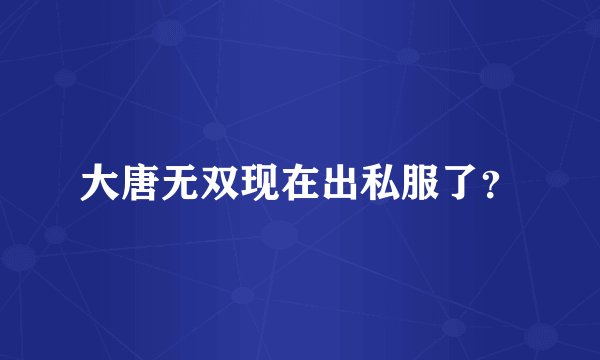 大唐无双现在出私服了？