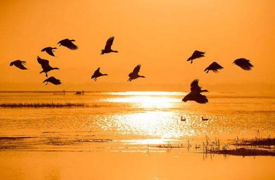 描写湖面平静的段落