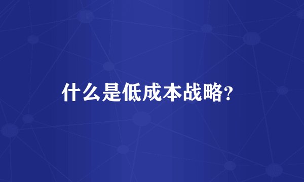 什么是低成本战略？
