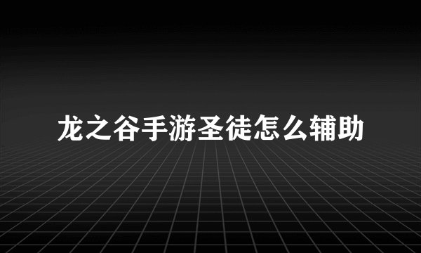 龙之谷手游圣徒怎么辅助