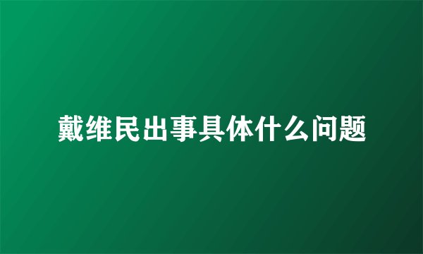 戴维民出事具体什么问题
